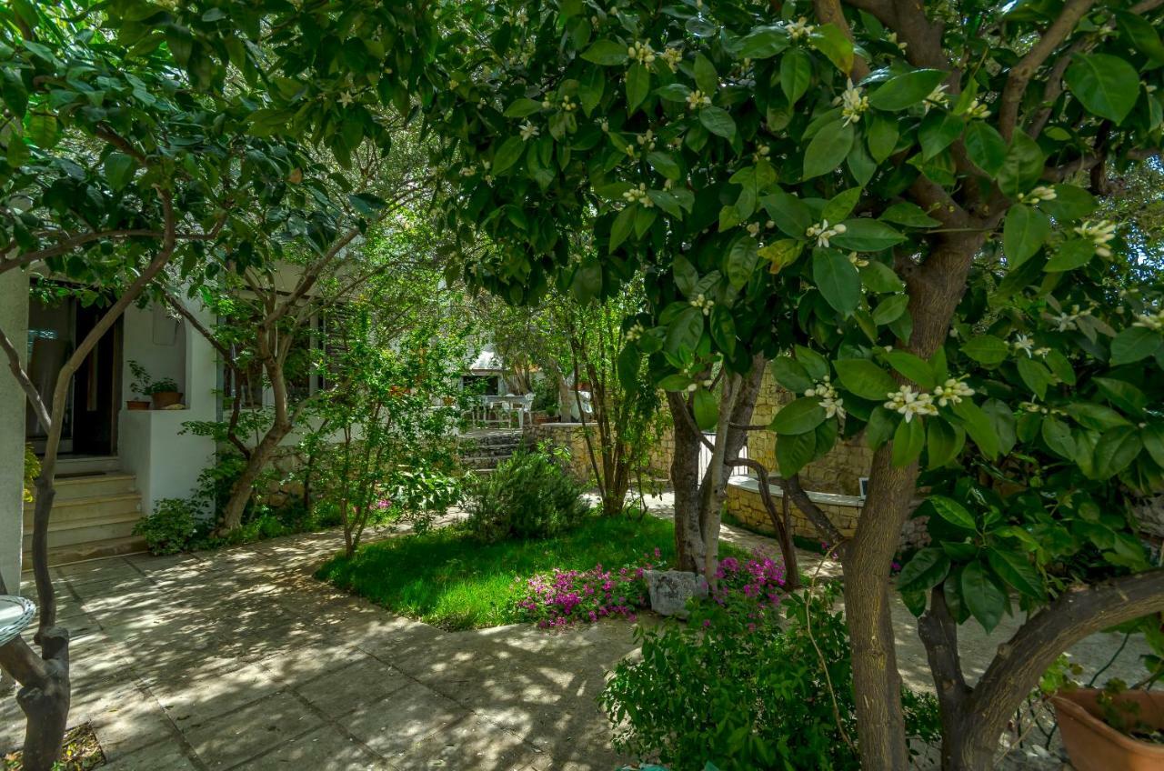 Apartment Dory Трогир Екстериор снимка